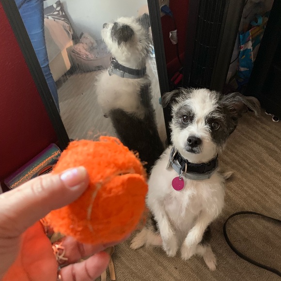 ๐บ๐ธMy Garden๐บ๐ธMy Babies๐บ๐ธ - Picture 10 of 16